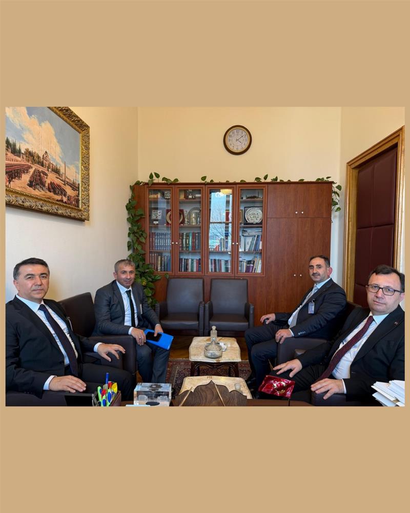 WhatsApp Image 2026-02-18 at 22.56.51.jpeg